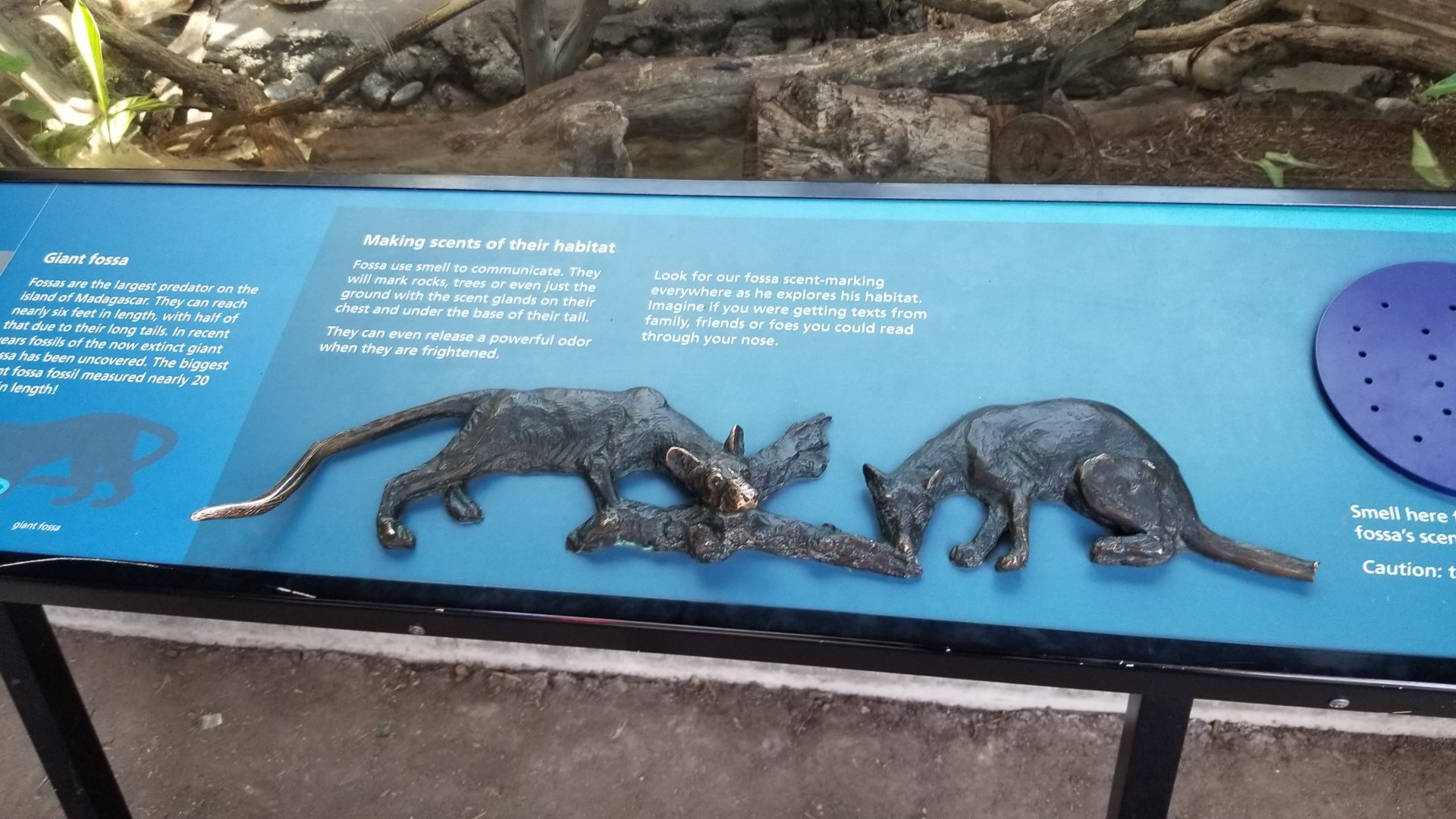 Philly - Fossa sculpture