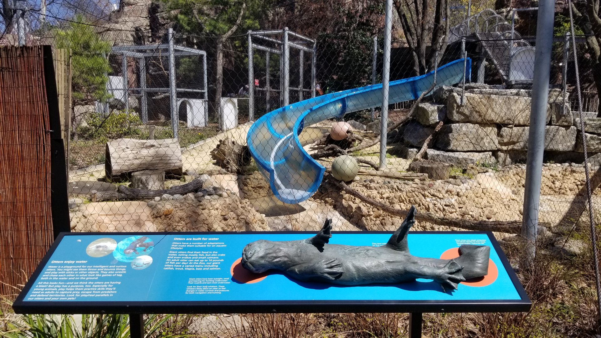 Philly - Giant otter sculpture #1