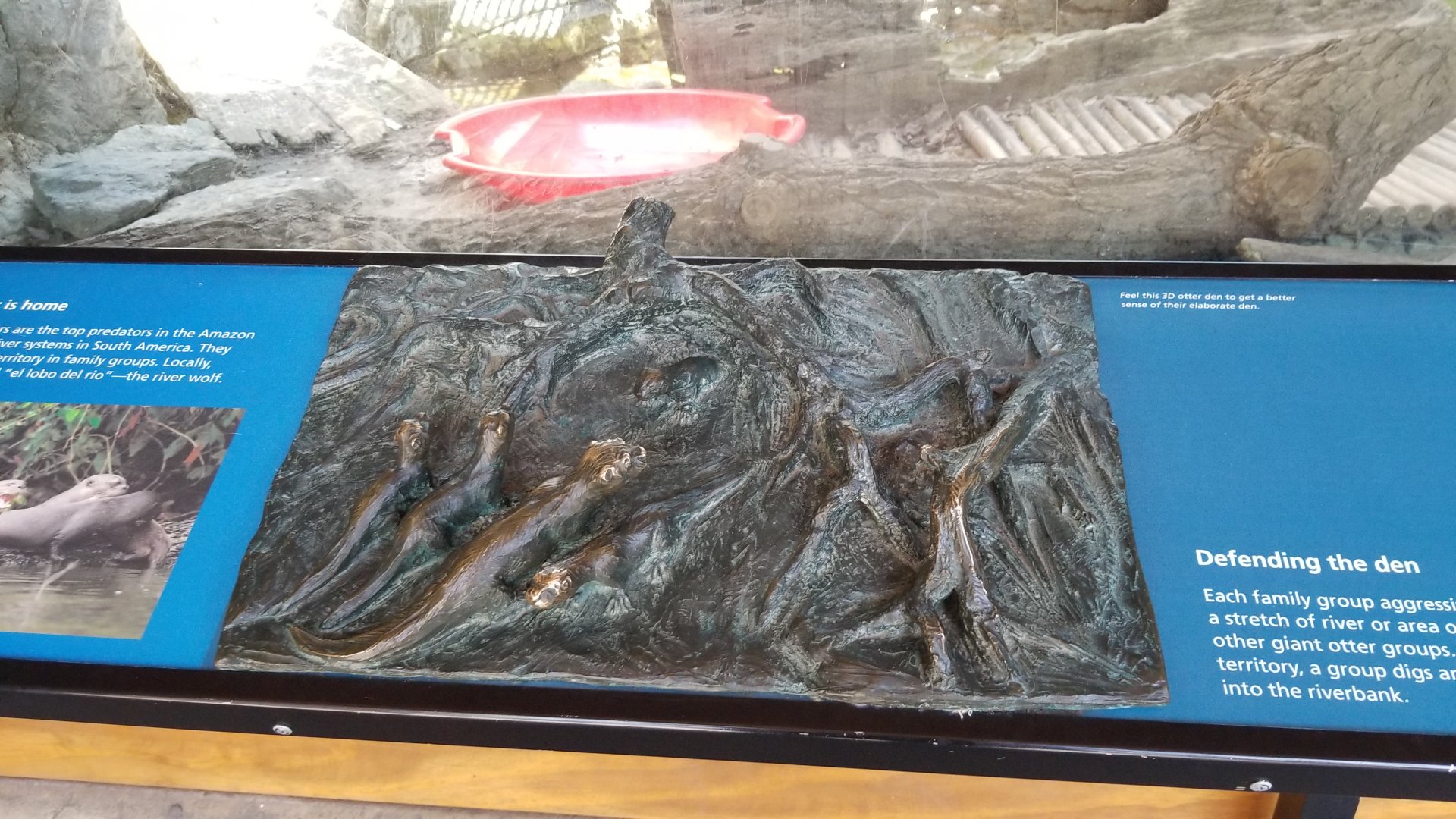 Philly - Giant otter sculpture #3