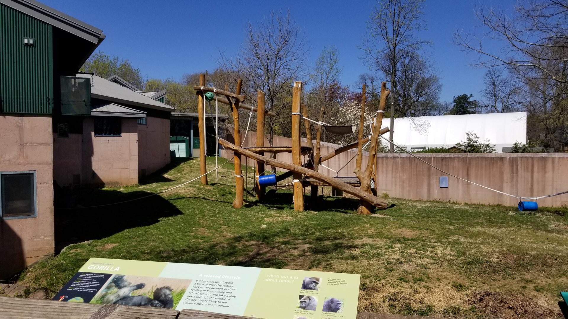 Philly - Gorilla yard