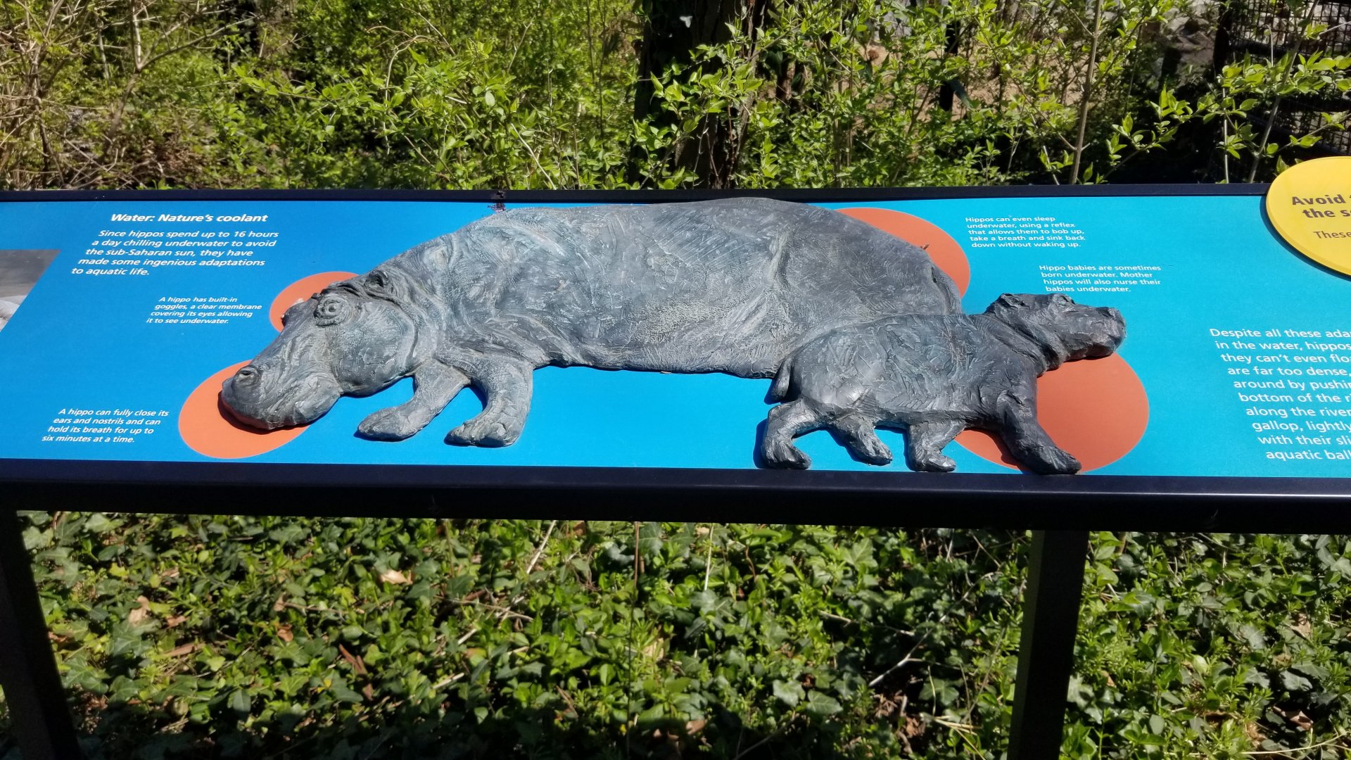 Philly - Hippo sculpture