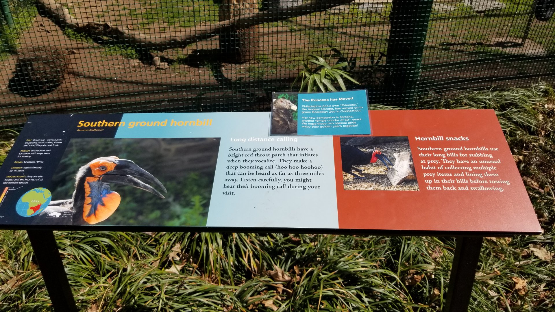 Philly - Hornbill sign