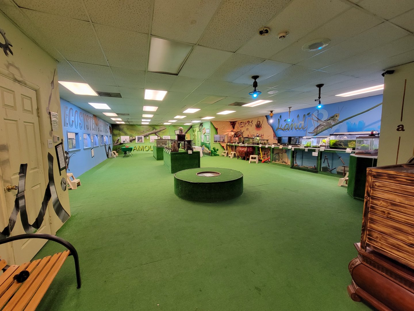 Philly Insectarium - 3rd floor room