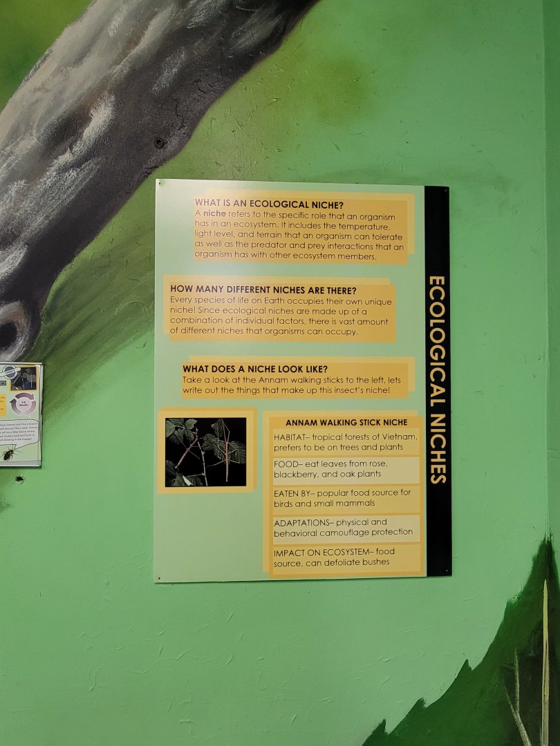 Philly Insectarium - Annam walking stick sign