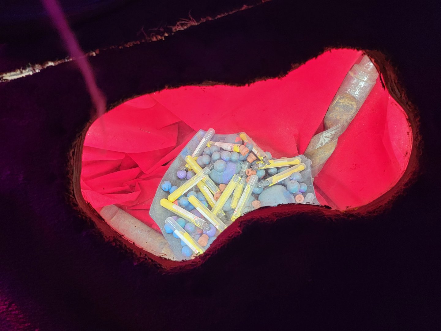 Philly Insectarium - ... Art project? There were several windows like this