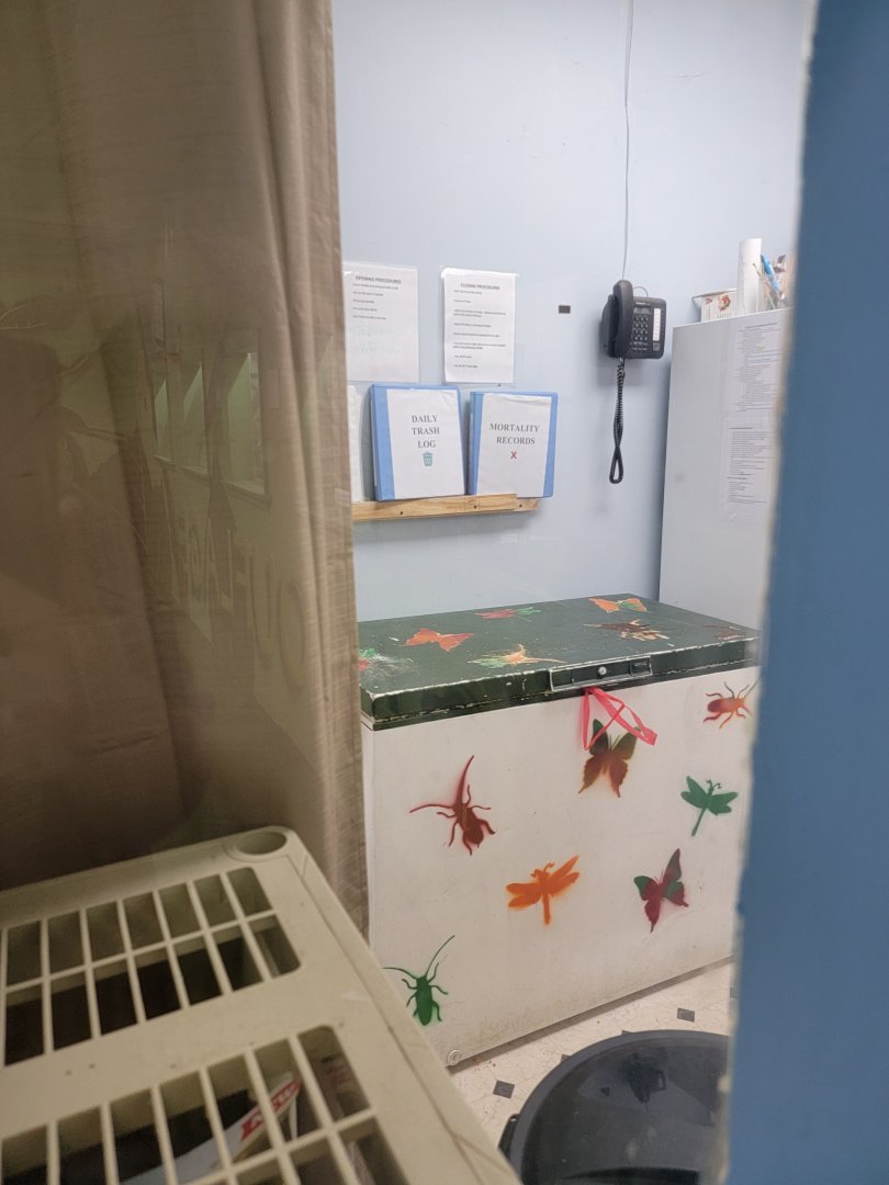 Philly Insectarium - Back area