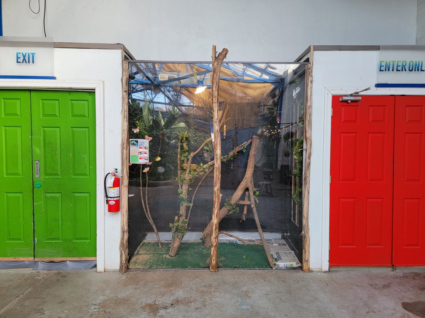 Philly Insectarium - Budgerigars