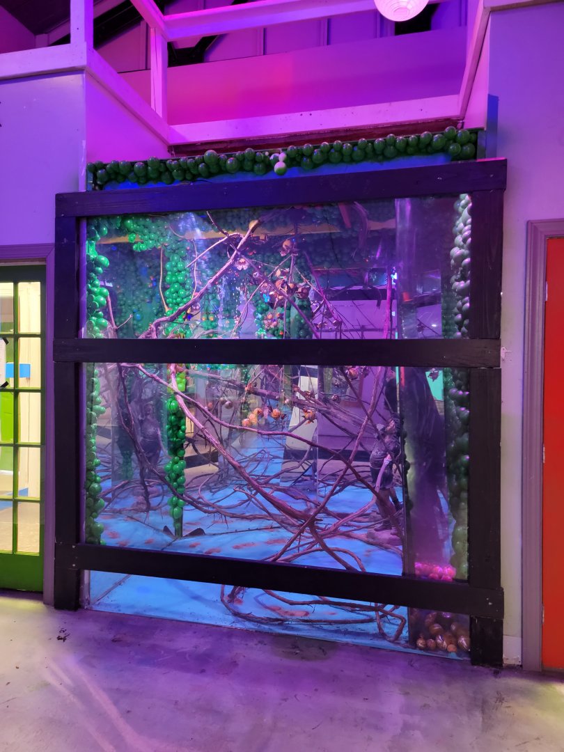 Philly Insectarium - Butterflies, no idea how to get into this area