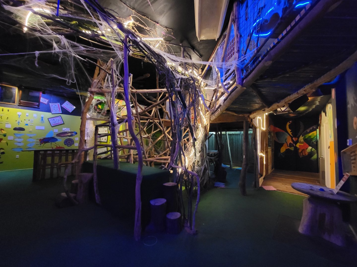 Philly Insectarium - Climbing structure for kids