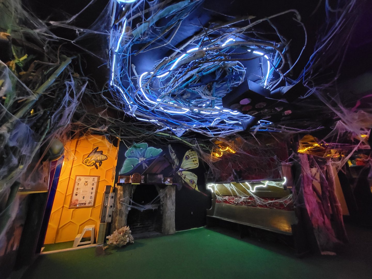 Philly Insectarium - Corner of 2nd floor room