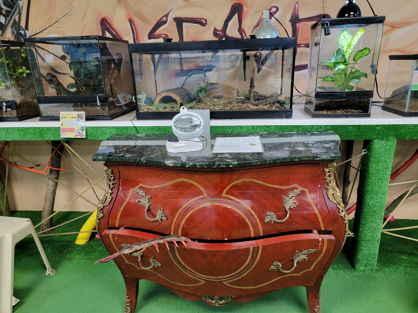 Philly Insectarium - Decor