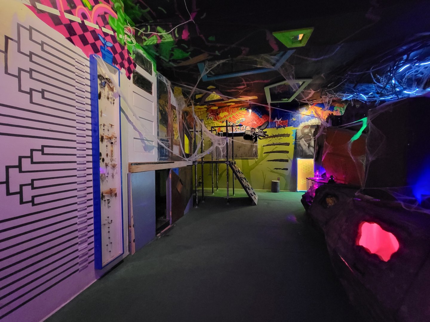 Philly Insectarium - Entrance to kids climbing area