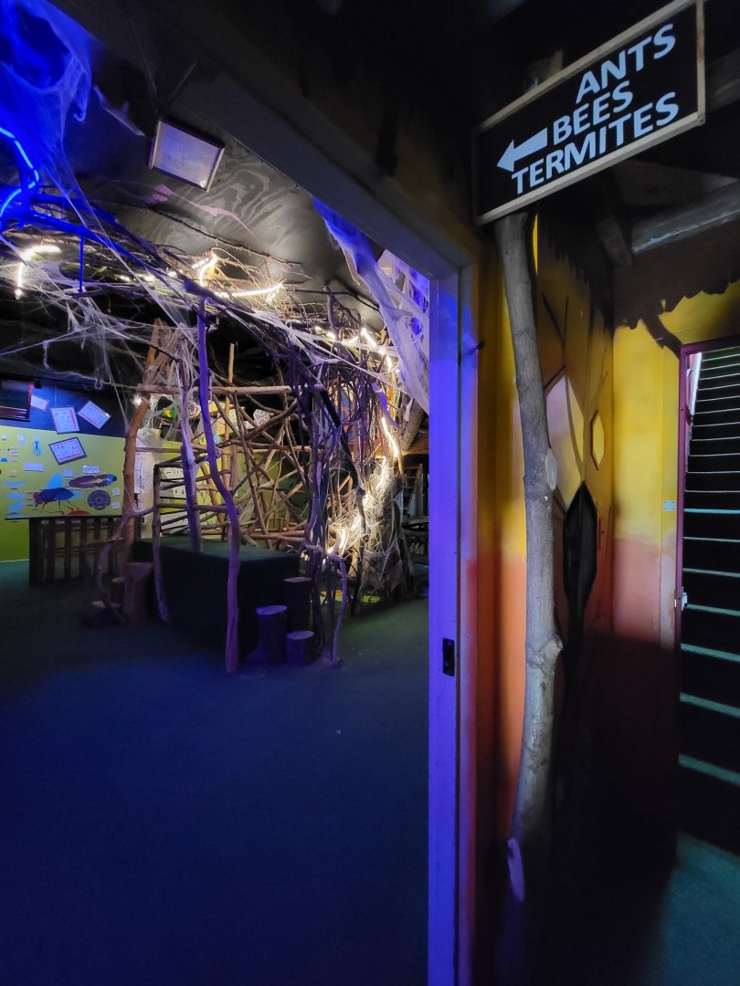 Philly Insectarium - Entrance to second floor