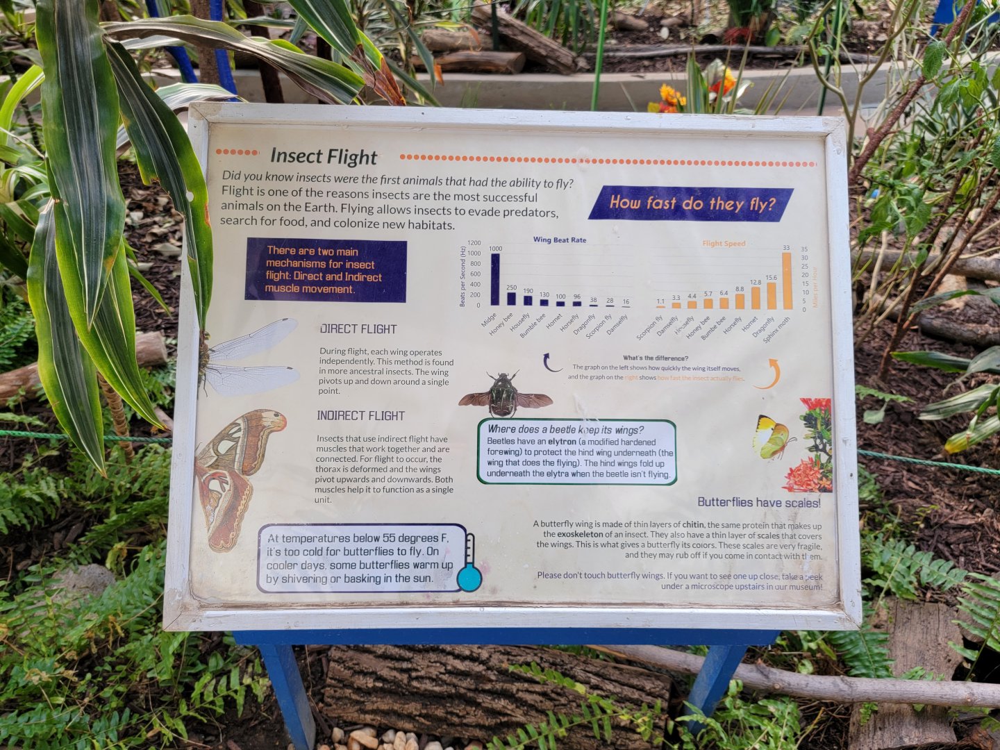 Philly Insectarium - Flight signage