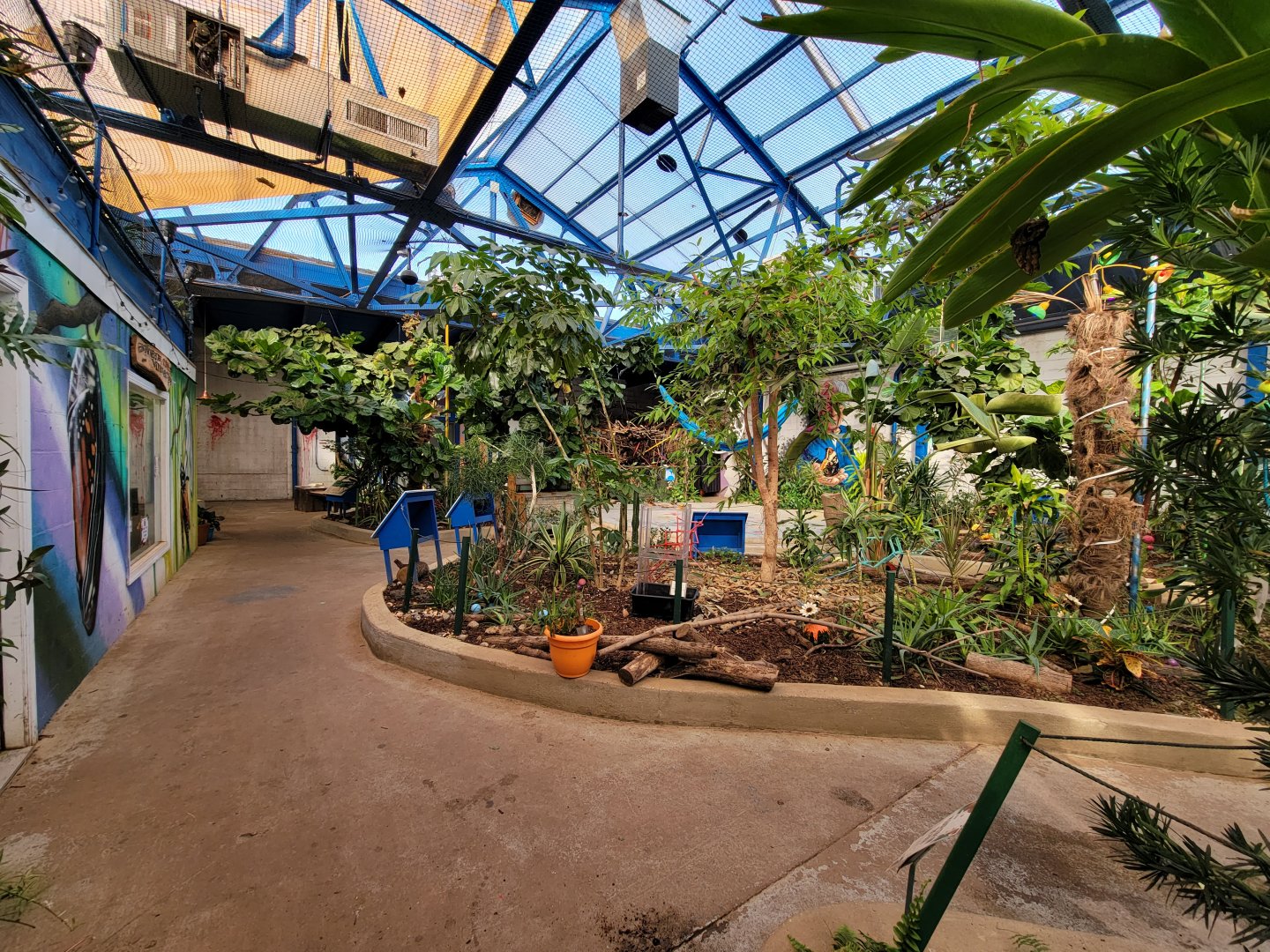 Philly Insectarium - Further inside butterfly area