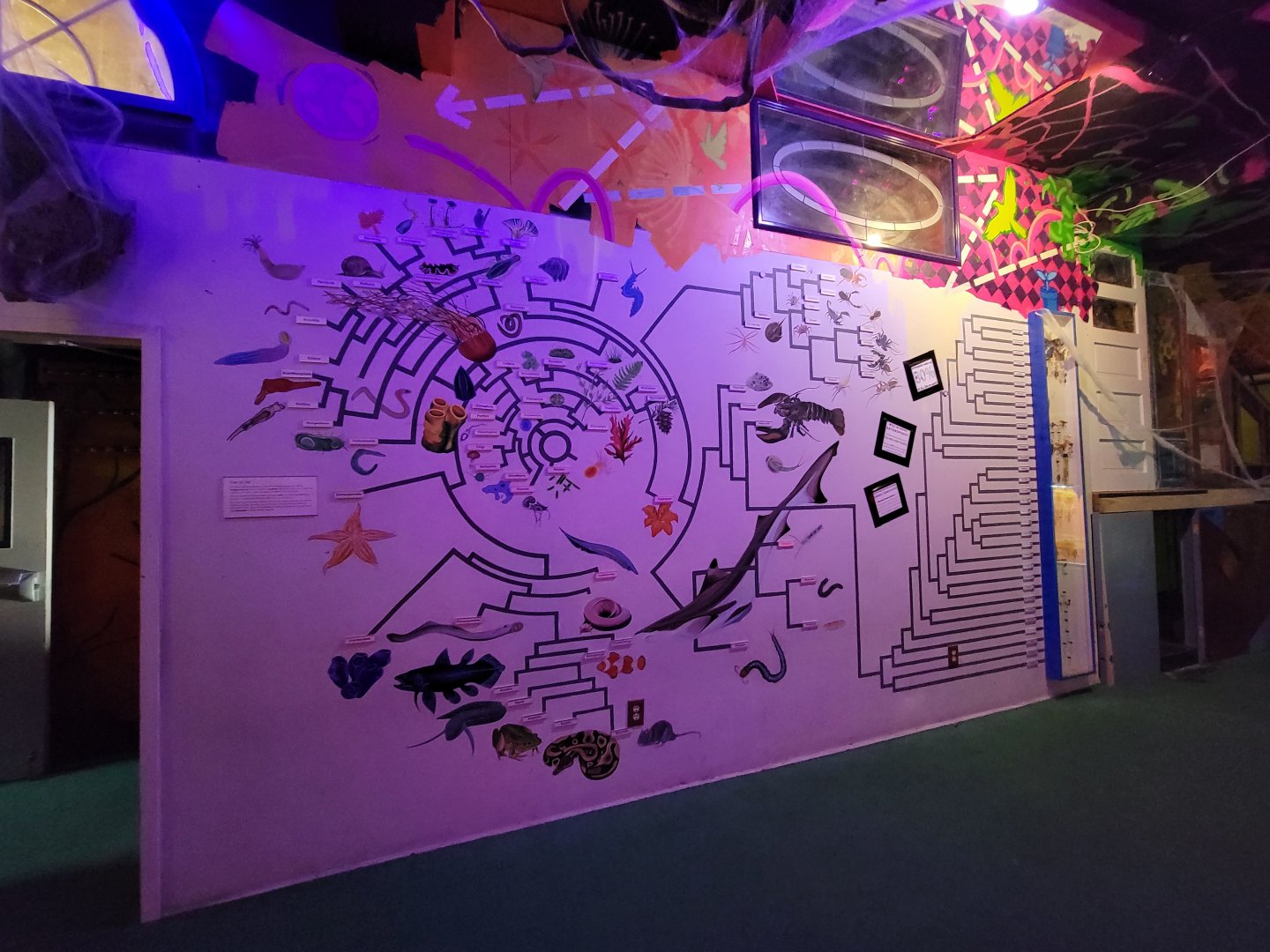 Philly Insectarium - How we get to bugs