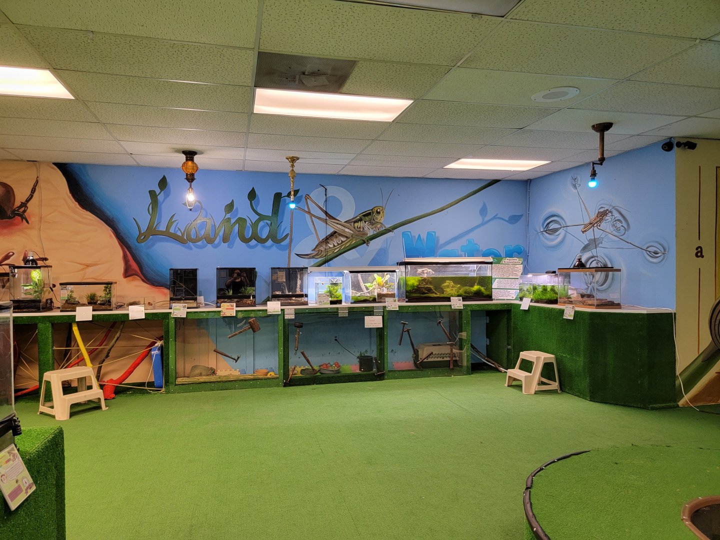 Philly Insectarium - Land and water areas