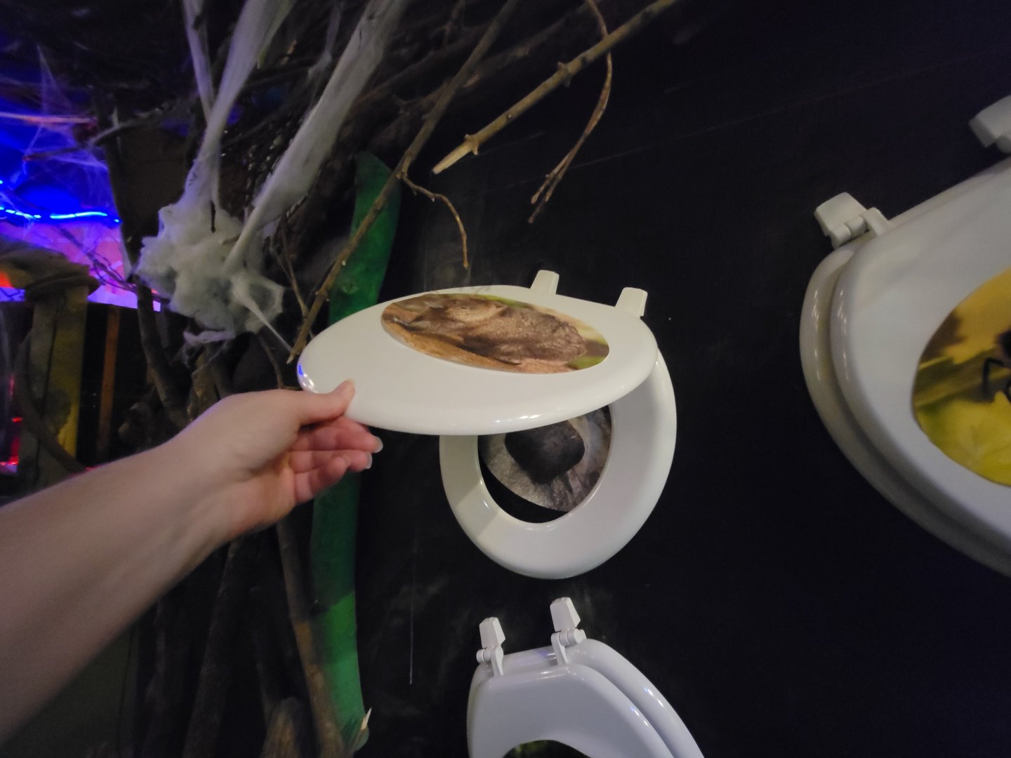 Philly Insectarium - Lift up the toilet seats to see what the species poops!