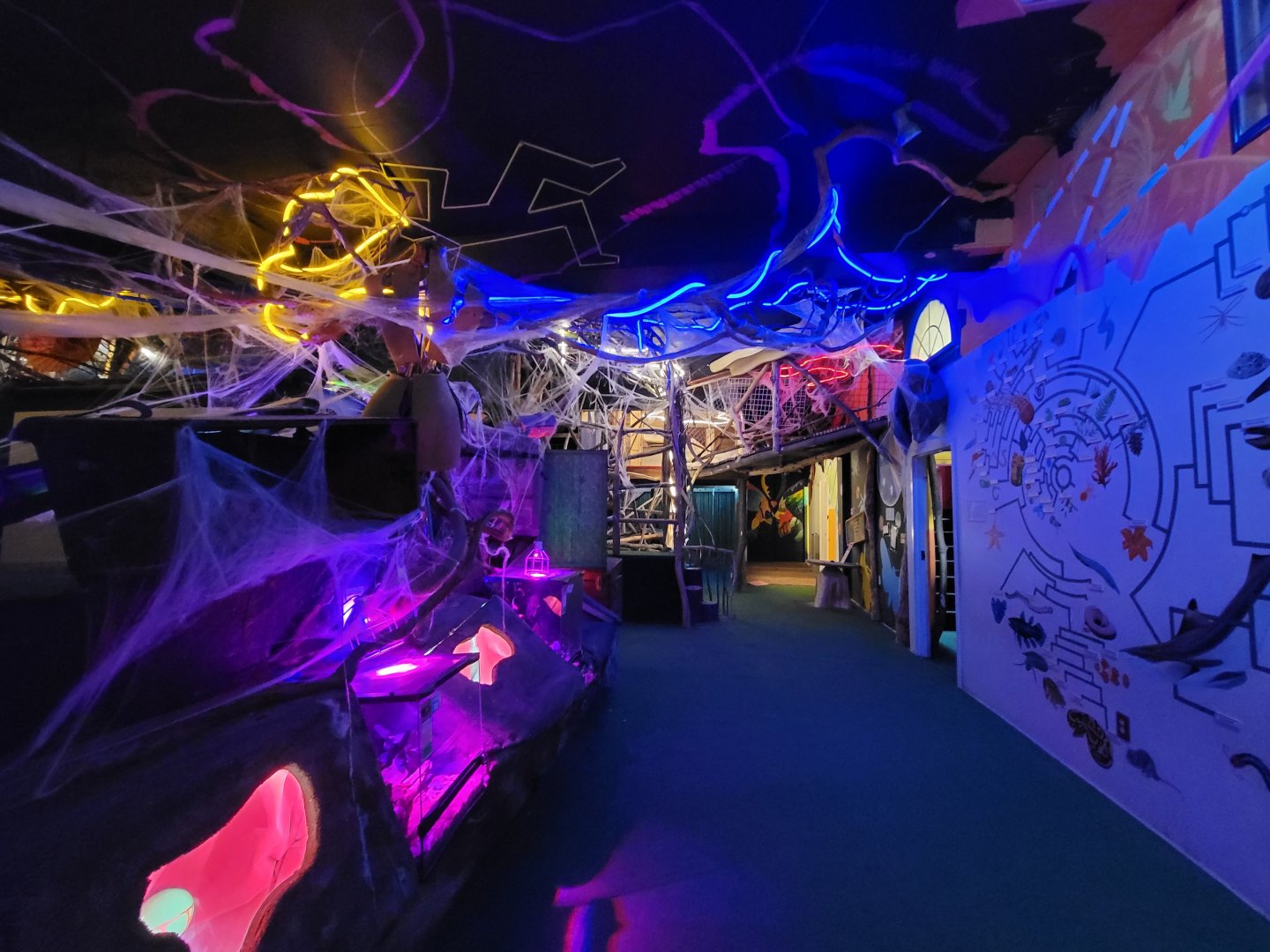 Philly Insectarium - Looking back to room entrance, other end of climbing structure