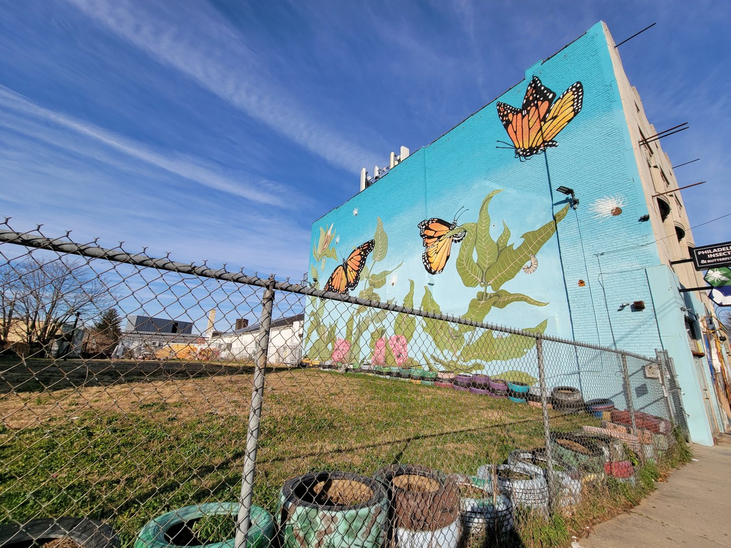 Philly Insectarium - Murals on side of building
