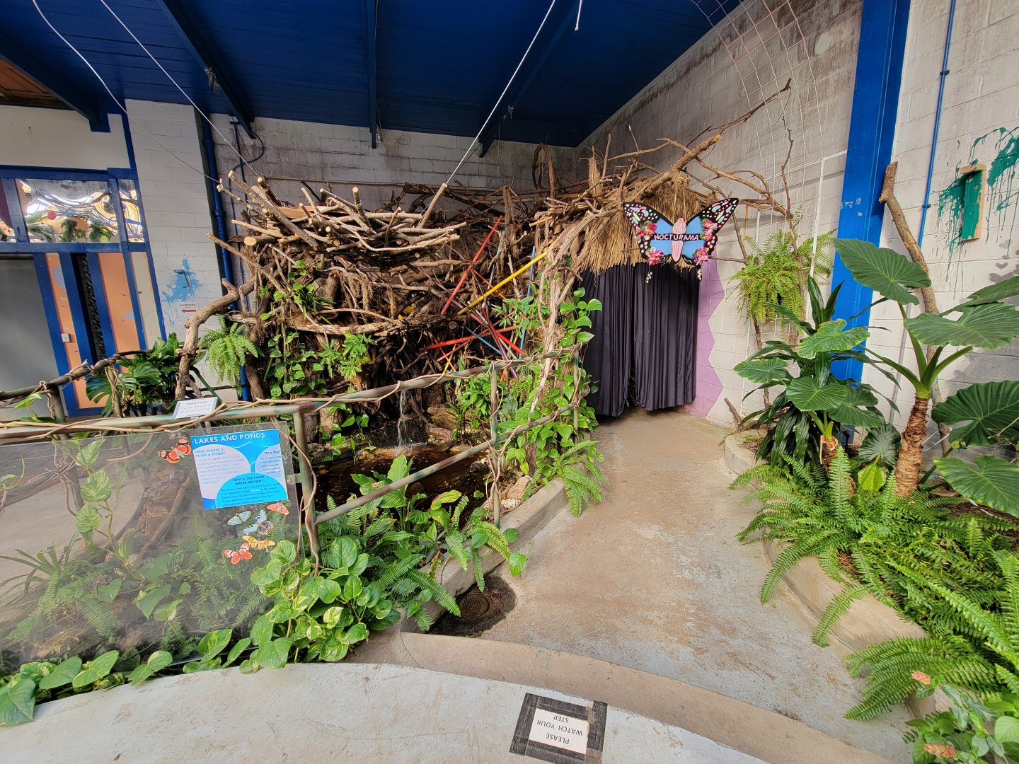 Philly Insectarium - Nocturama corner