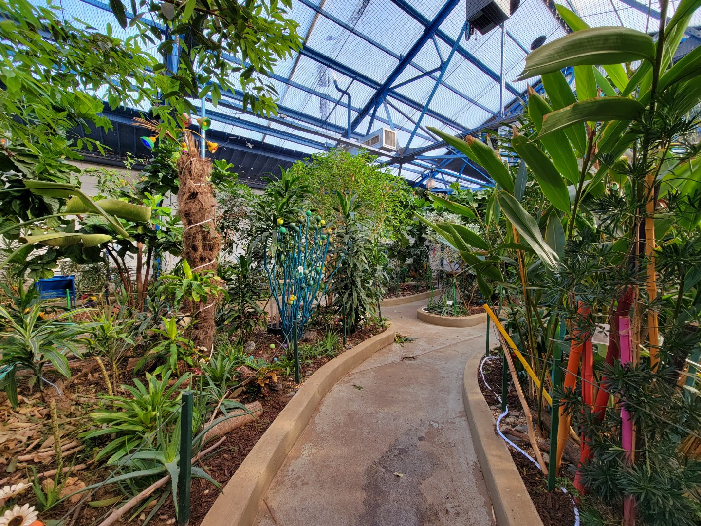 Philly Insectarium - Path in butterfly pavilion