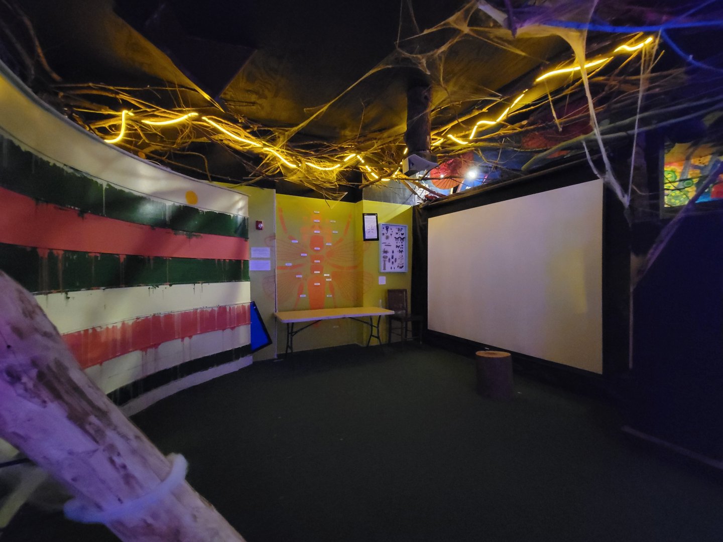 Philly Insectarium - Presentation area