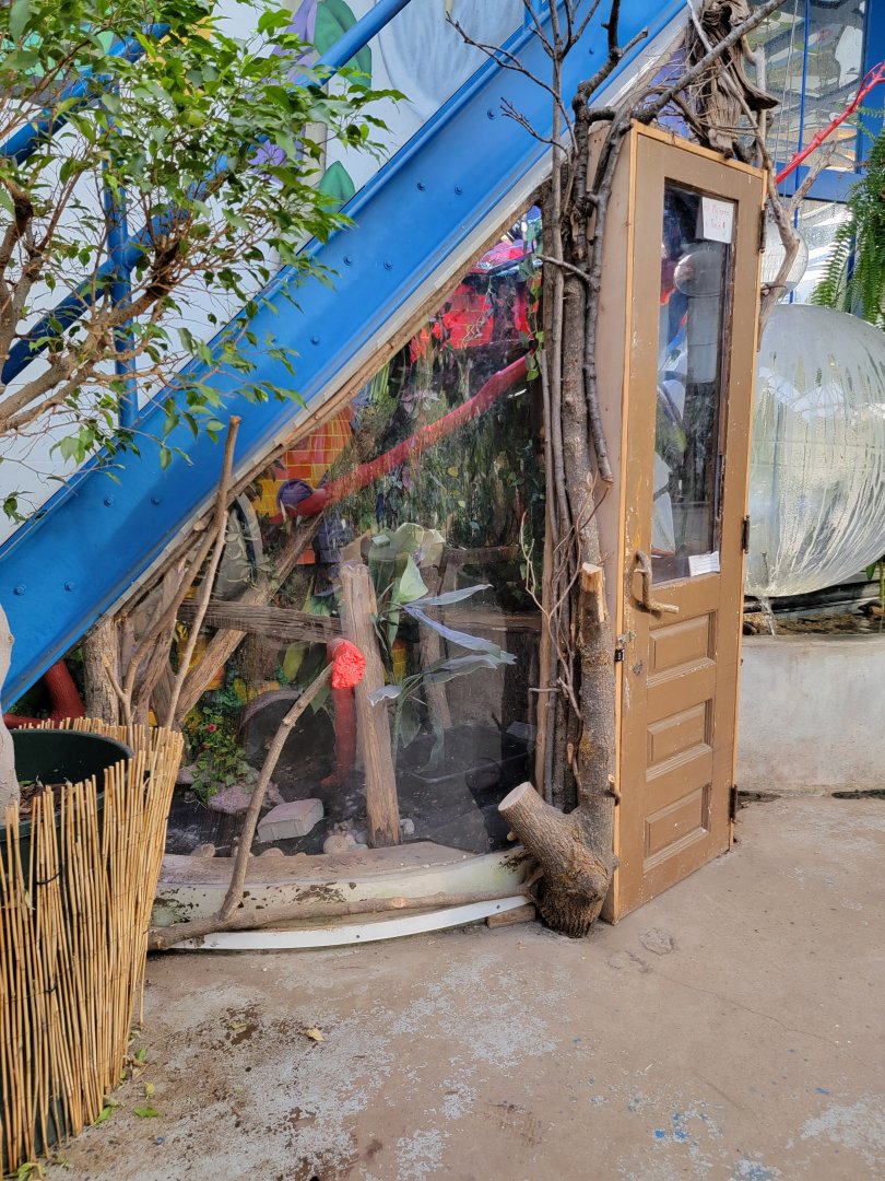 Philly Insectarium - Red-tailed boa exhibit