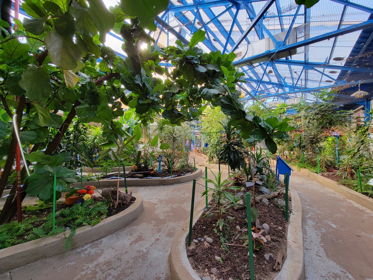 Philly Insectarium - Right side of butterfly pavilion