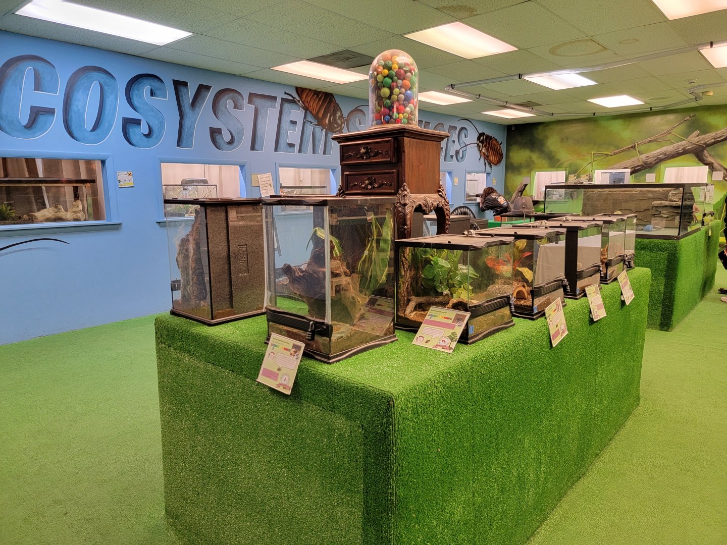 Philly Insectarium - Tarantula and scorpion table