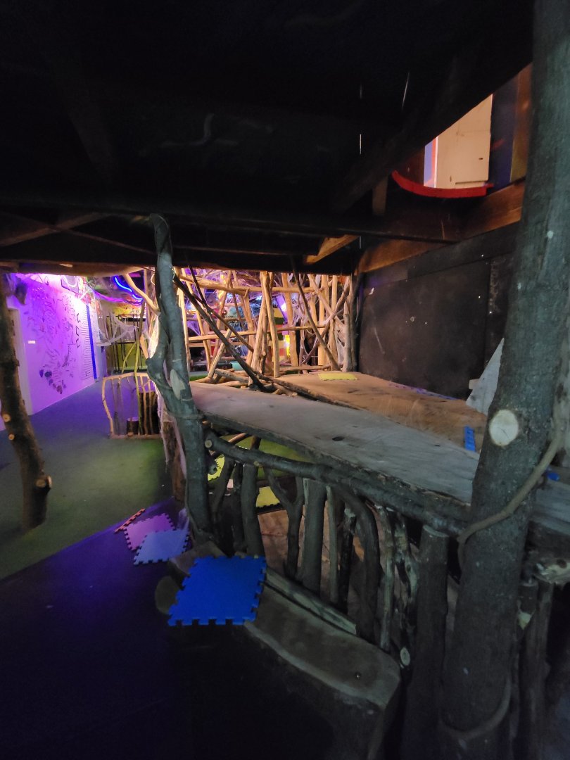 Philly Insectarium - Under kids climbing structure