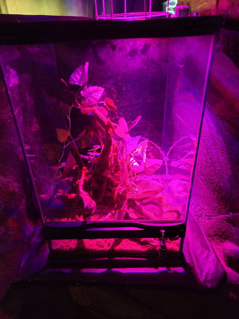 Philly Insectarium - Unsigned / empty?