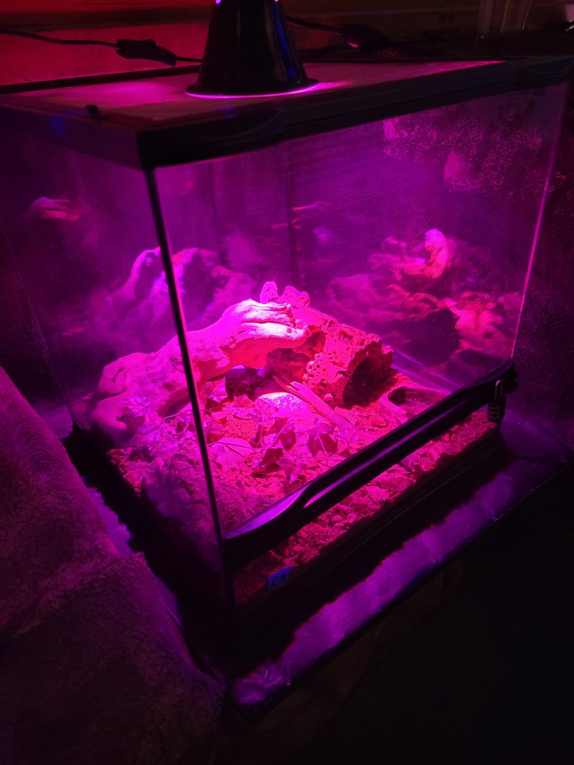 Philly Insectarium - Unsigned / empty?