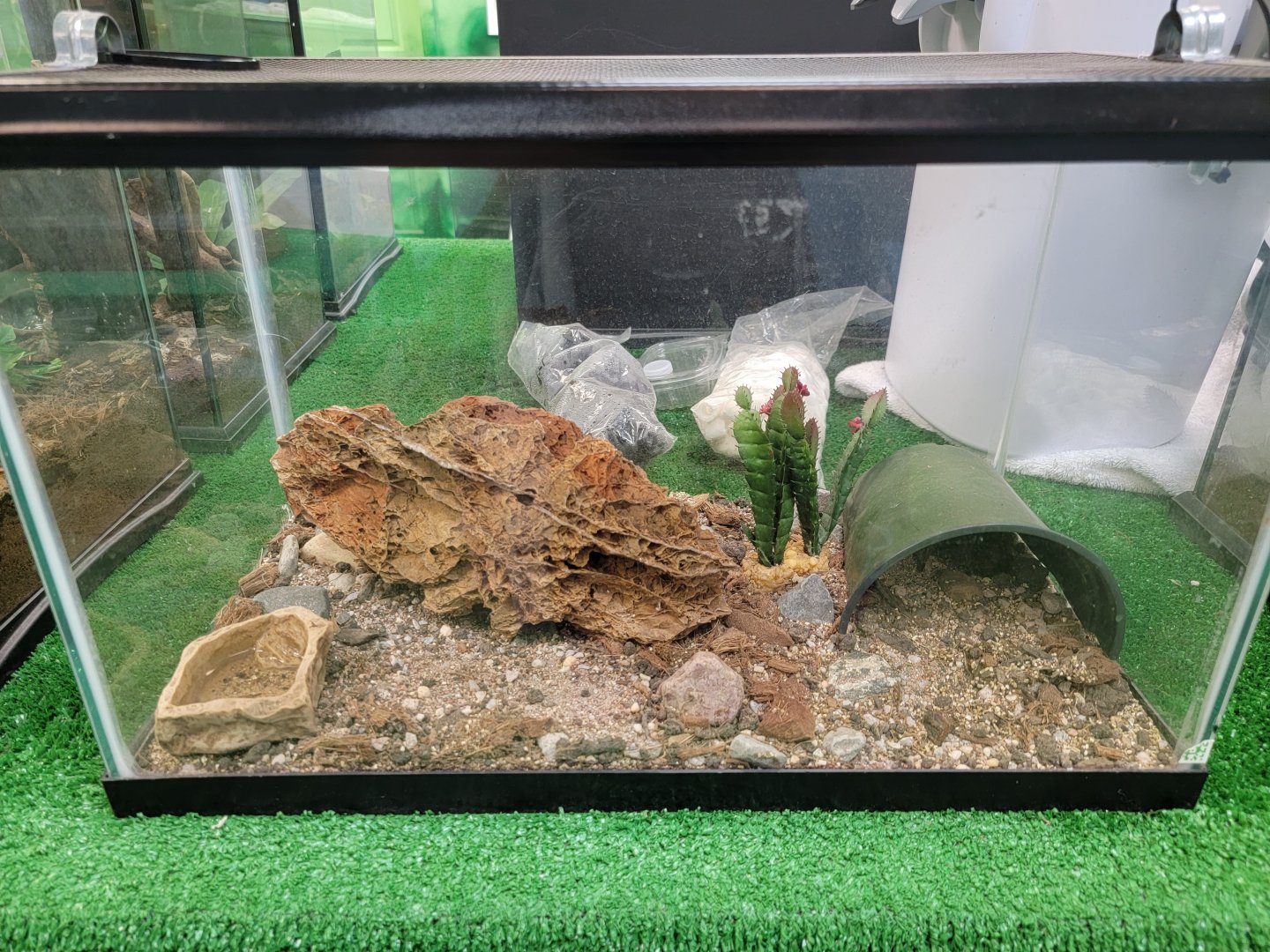 Philly Insectarium - Unsigned