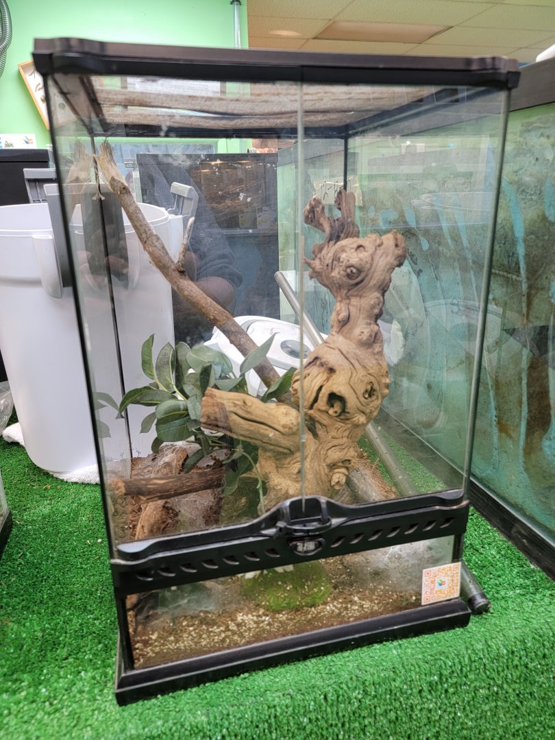 Philly Insectarium - Unsigned