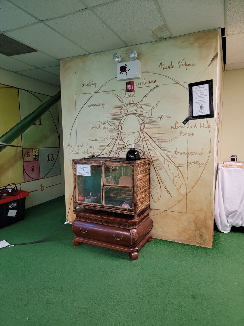 Philly Insectarium - Wall art