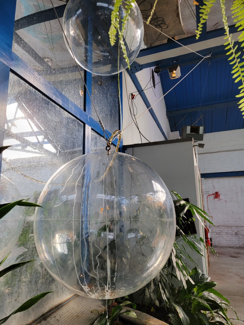 Philly Insectarium - Water balls