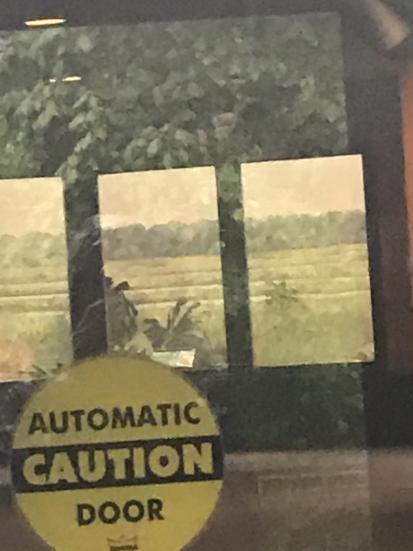 Philly-inside look of reptile house