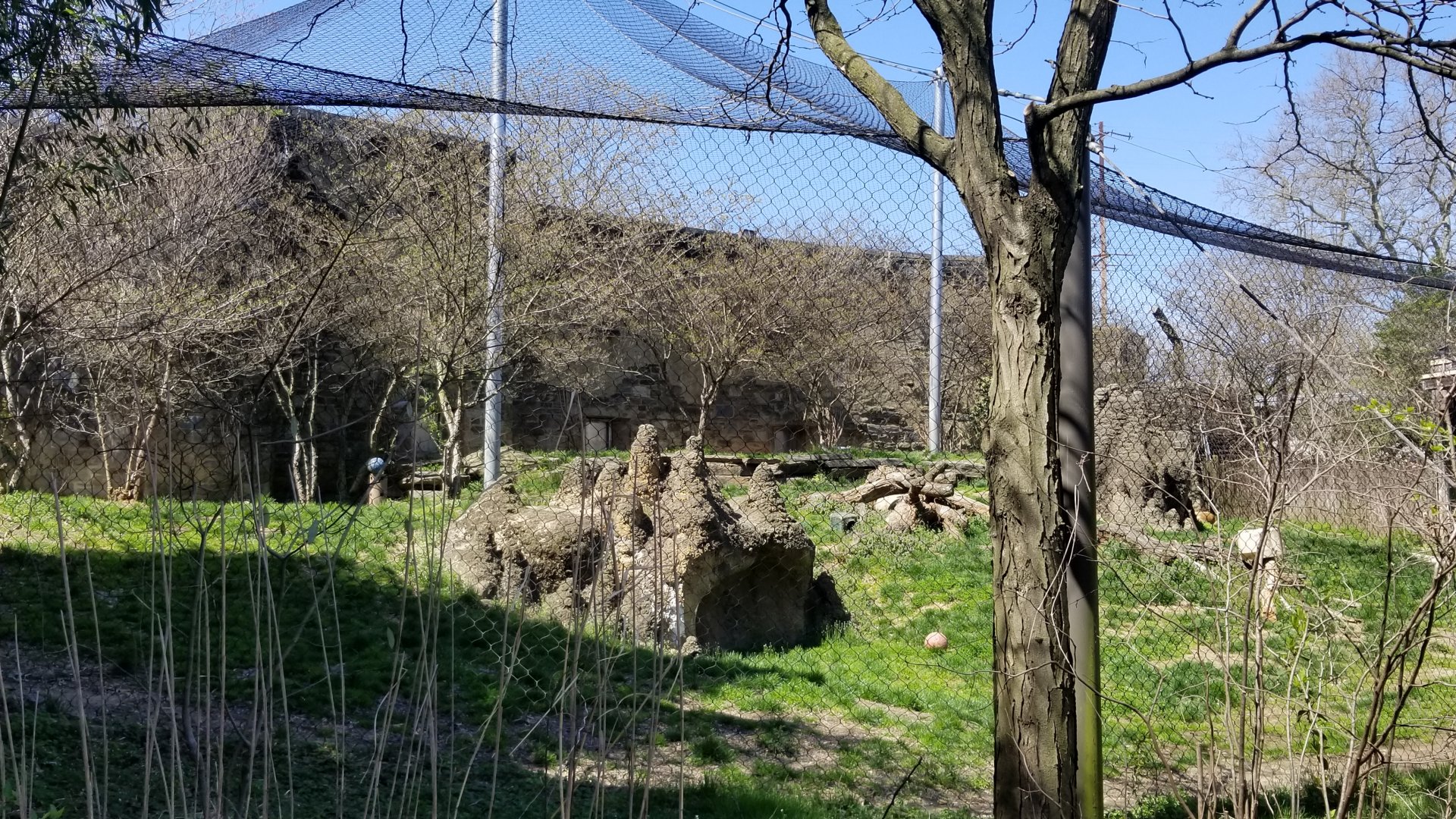 Philly - Lion exhibit
