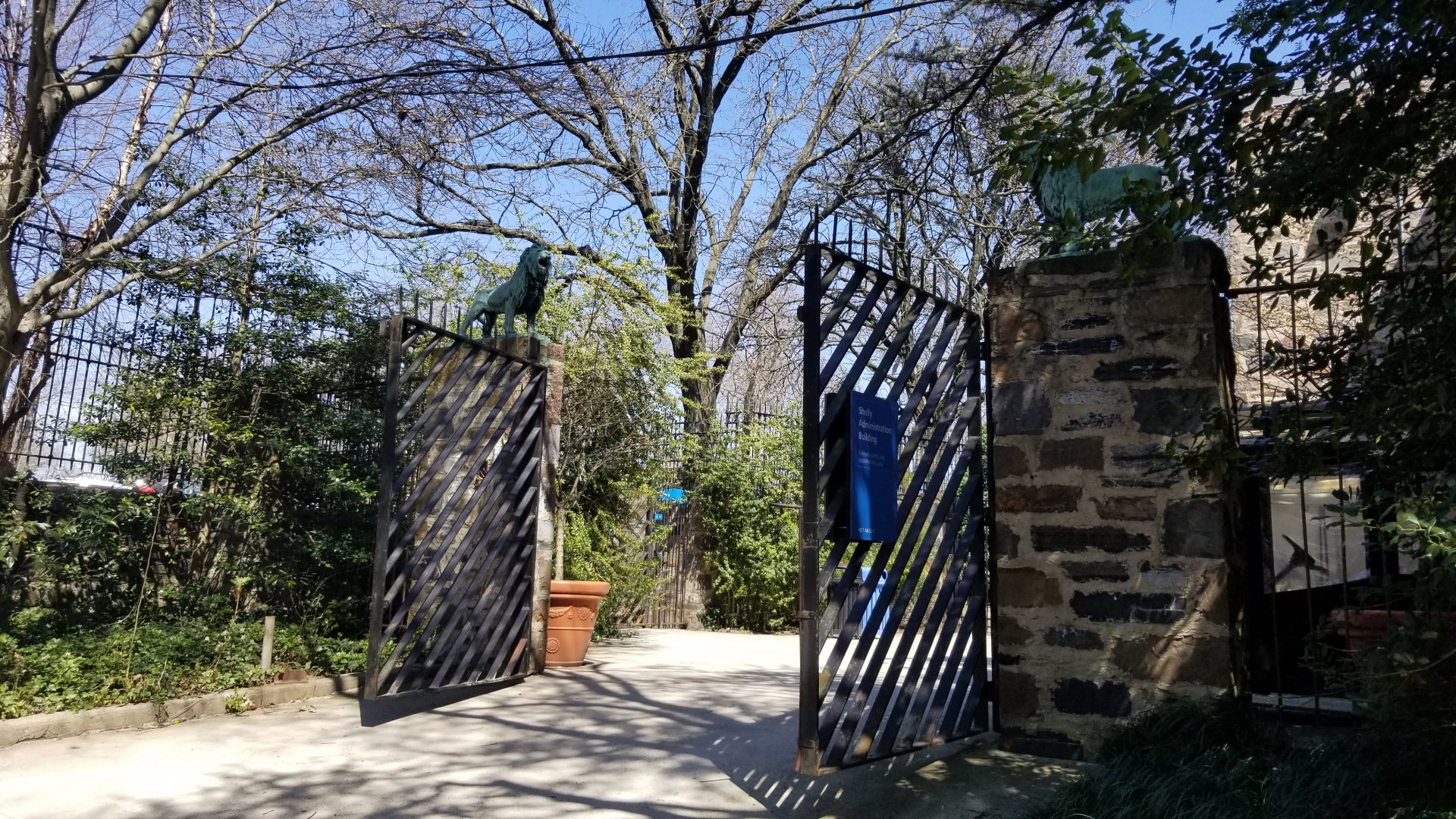 Philly - Lions above gate to administrative building