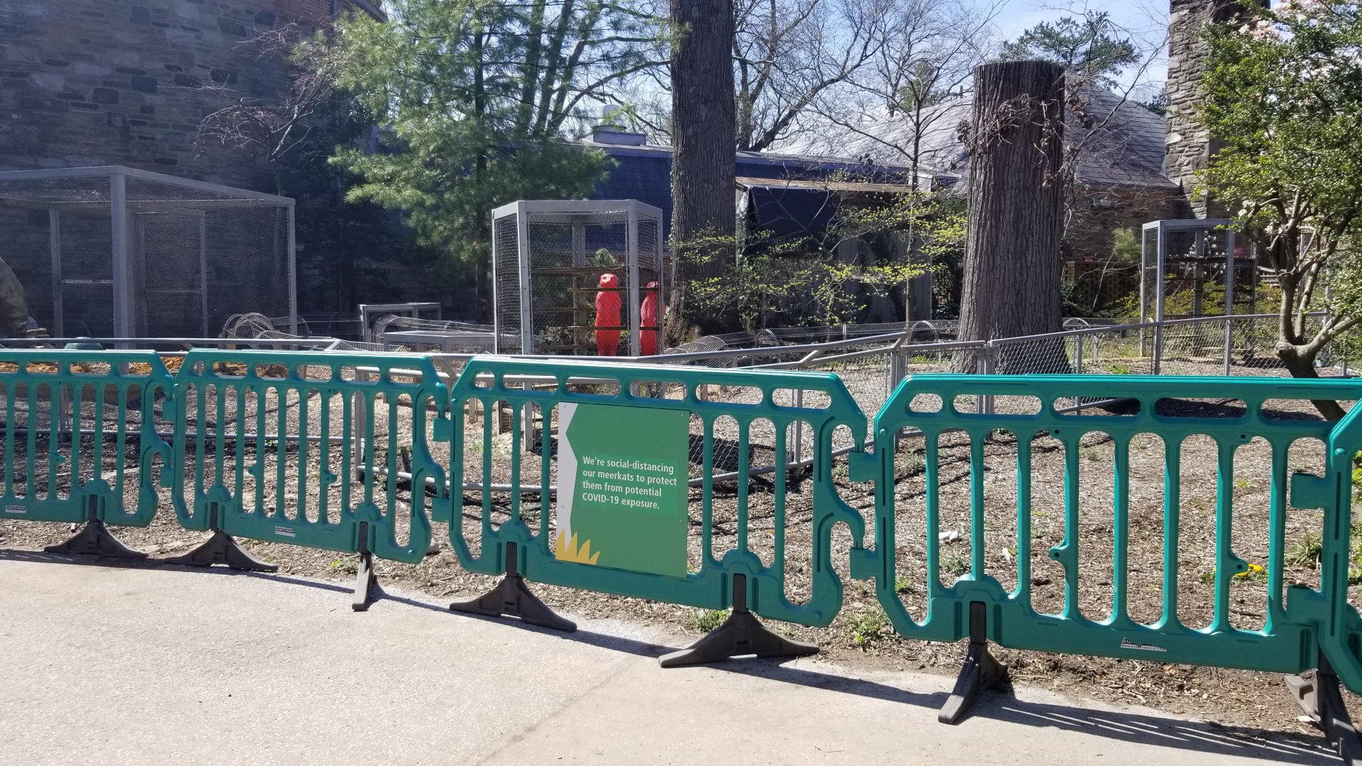 Philly - Meerkats closed