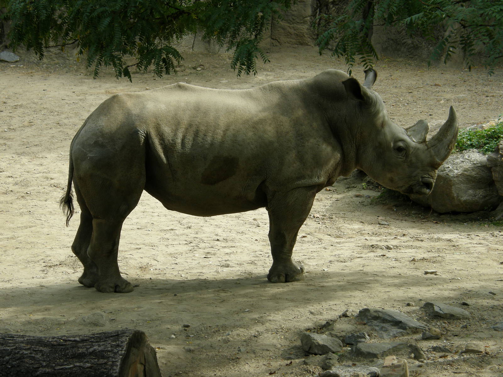 PHILLY PA ZOO 2008 015