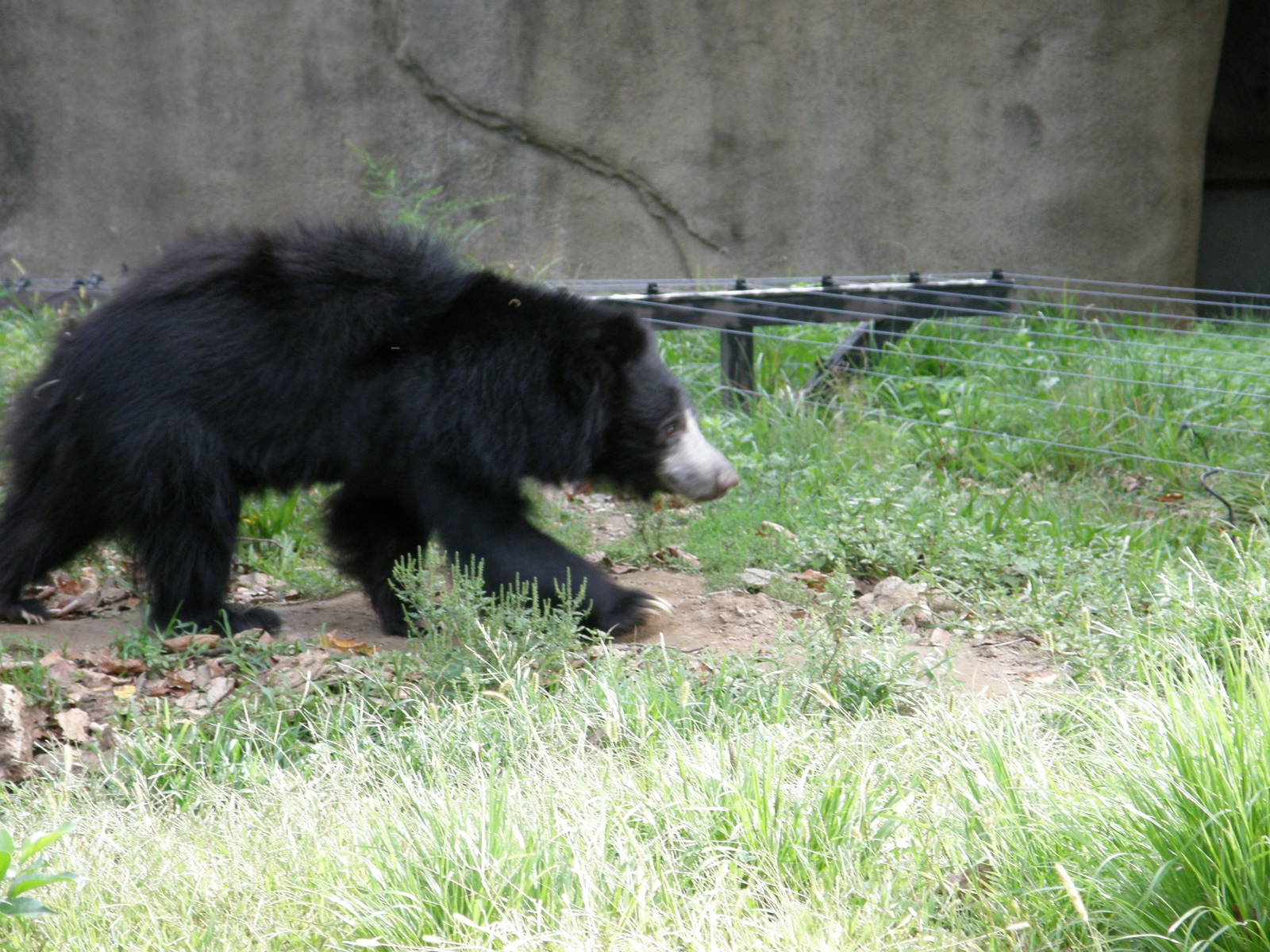 PHILLY PA ZOO 2008 022