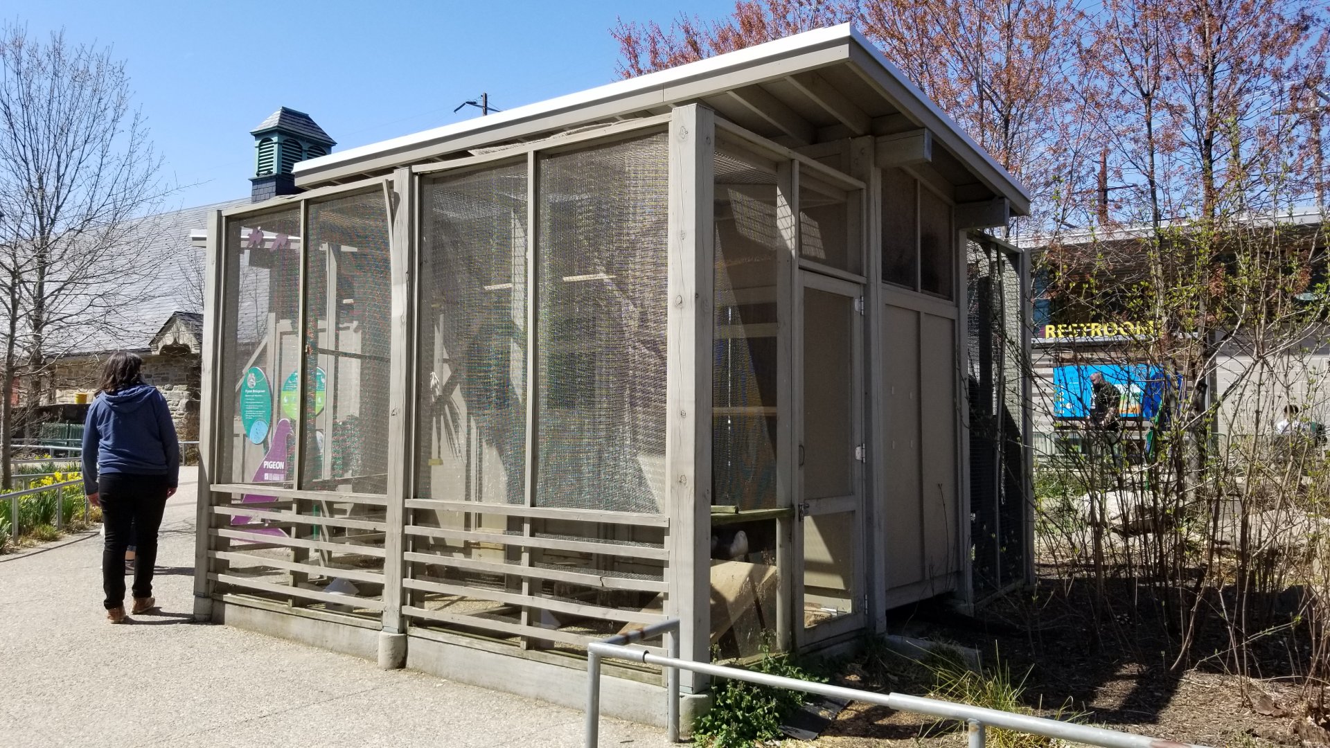 Philly - Pigeon house