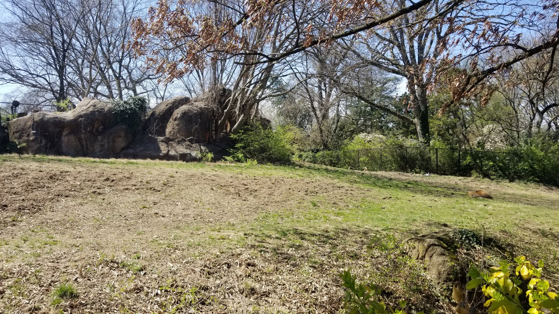 Philly - Right end of The Phase, RRH, Mhorr gazelle, white storks visible