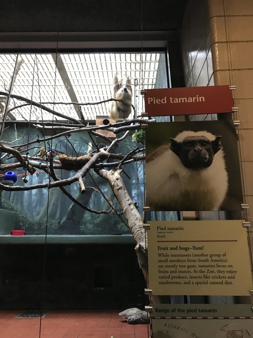 Philly-sloth monitoring about
