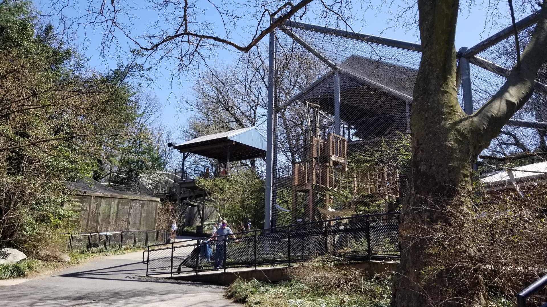 Philly - Spider monkeys, kids area