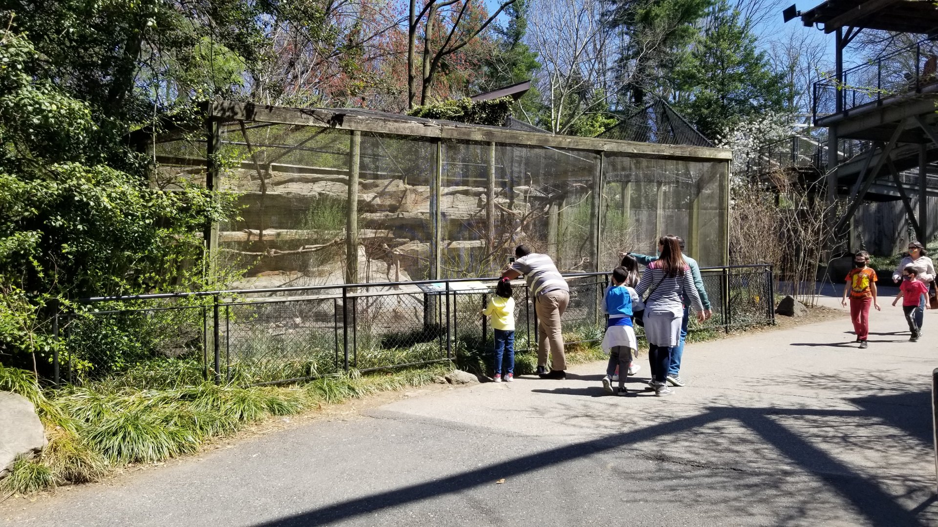 Philly - Turkey vulture exhibit