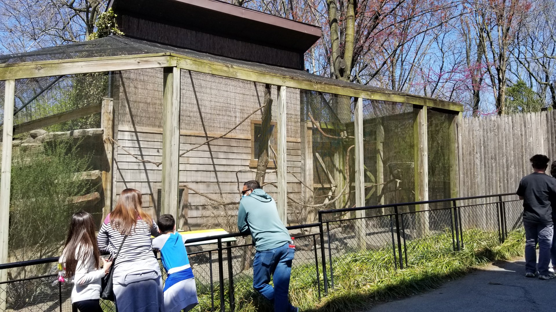 Philly - Turkey vulture exhibit
