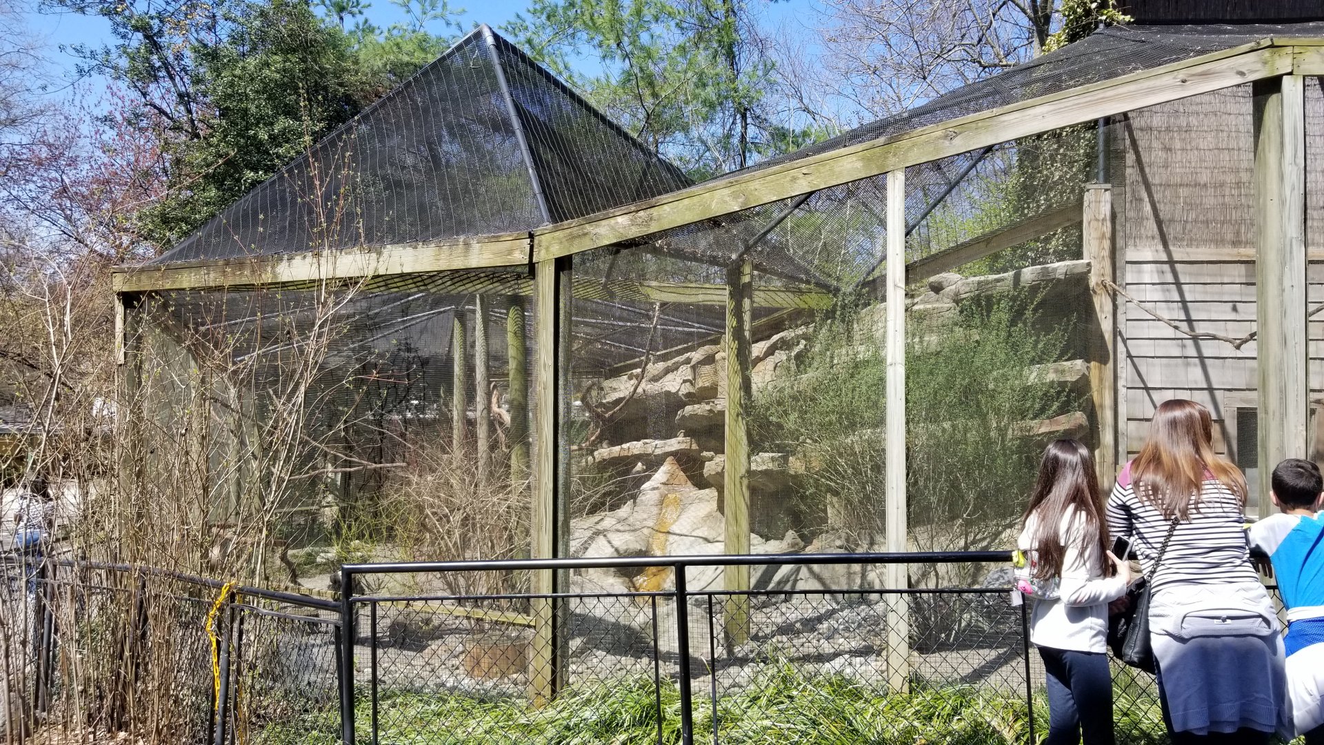 Philly - Turkey vulture exhibit